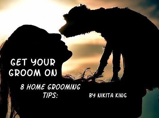 alt="shadow owner and grooming dog"