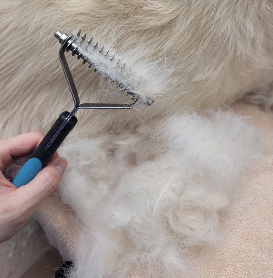 alt="brushing a golden retriever fur"