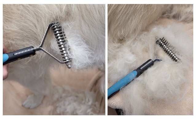 alt="undercoat rake brushing shedding hair from golden retriever for grooming"