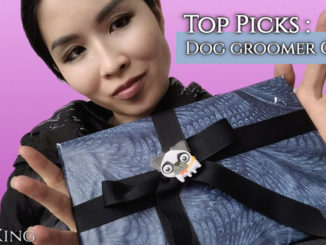 alt="dog groomer holding gift box"