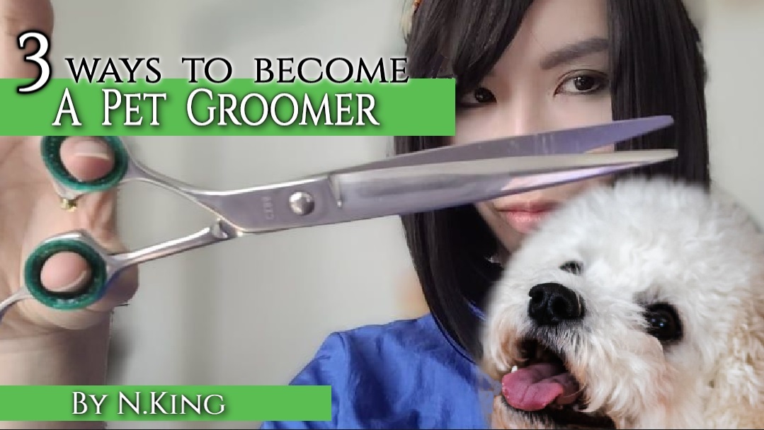 do you have to go to school to be a dog groomer