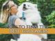 find the best pet groomer for matted dog