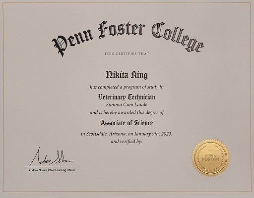 nikita king vet tech penn foster college degree