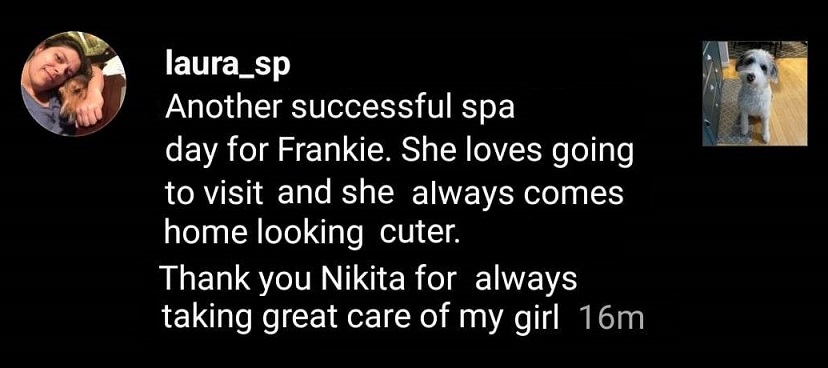 review for nikita king grooming